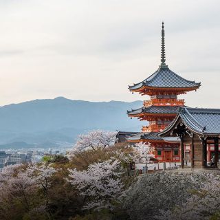 twL_fac_24G12_dfhJilvrtC